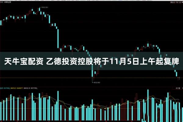 天牛宝配资 乙德投资控股将于11月5日上午起复牌